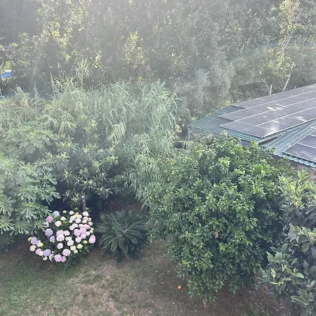 291 Isard 2 4 Apto Junto A La Playa Apartmán S'Agaro